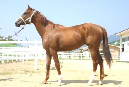 �÷����Ű���� ����