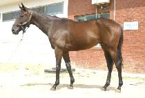 �����Ǻ� (SAMHANUIBYEOL) ����