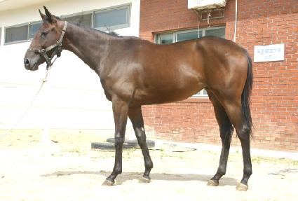 �����Ǻ� ����