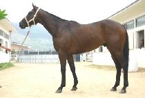 �ʸ����� (FILL MY CUP) ����