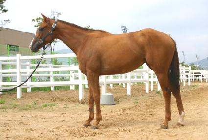 �̷�ť�����޴� ����