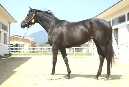 ü��Ű�� ����