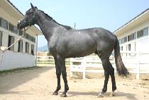 �����ְ� (SAMHAN CHOEGANG) ����