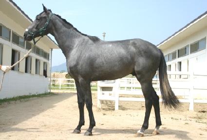 �����ְ� ����