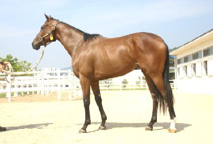 �����ѽ�ȭ ����