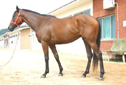 ���ӹ̽������̹� ����