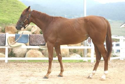 �����Ϸ�Ʈ ����