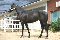 �������Ϸ� (SHOULDABEENASAILOR) ����