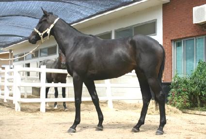 �������Ϸ� ����