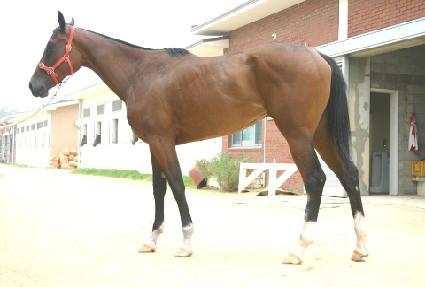 ������Ʈ�������� ����