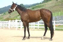 ������������� (SNUCKINFROMHEAVEN) ����