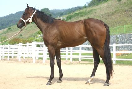 ������������� ����