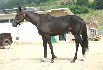 ������� (LILLY BE GONE) ����