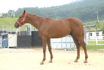 ����ں� (DEUNGGO JABI) ����