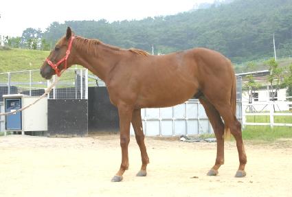 ����ں� ����