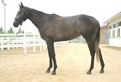 ��õ�� ����