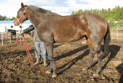 ���� ����