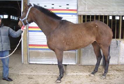 ĵ�����̽� ����