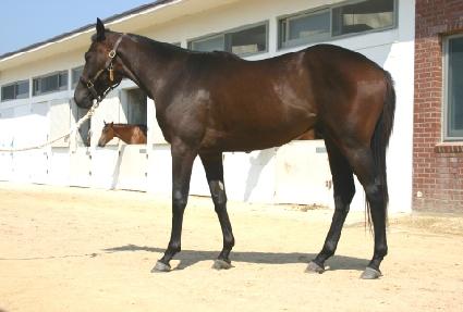 �������� ����