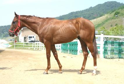 Ĺġ�� ����