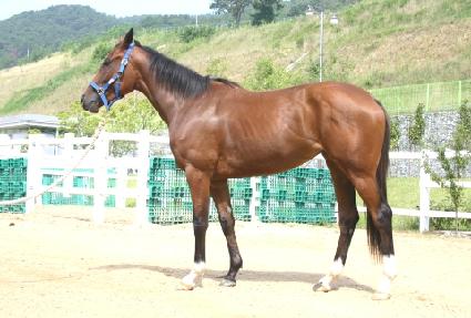 ĳƼ���ʽ����� ����