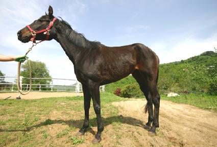 ���� ����