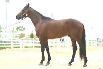 ŵ���� (KEEP IT QUICK) ����