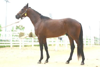 ŵ���� ����