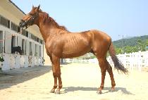 Ȳ���±� (HWANGJE TAEGEUK) ����