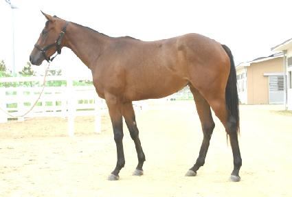 �ܵ����� ����