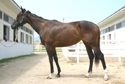 �ٸ����� ����