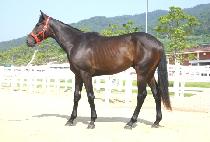 ���Ǹ�ö���Ϸ��� (SPIRITUAL SILENCE) ����