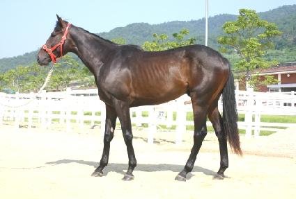 ���Ǹ�ö���Ϸ��� ����