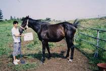 MADAM WINETTE picture