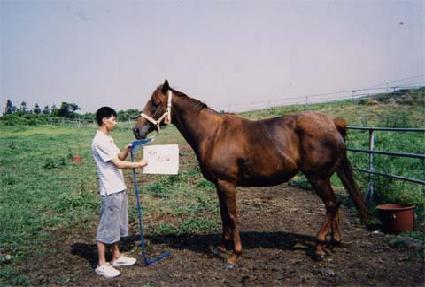 �����ũ ����