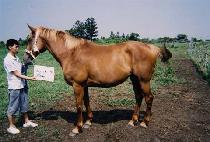 ��ġ�̷� (WATCH ME RAW) ����