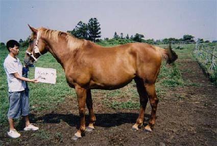 ��ġ�̷� ����