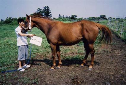 Ŀ�ú� ����