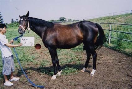 ��Ÿ���� ����