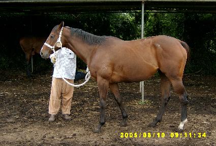 ����ġ�� ����