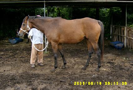 ���÷��� ����