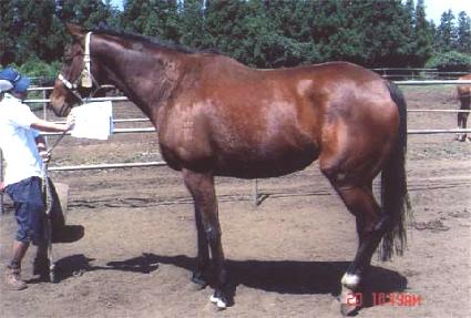 Ʈ���� ����