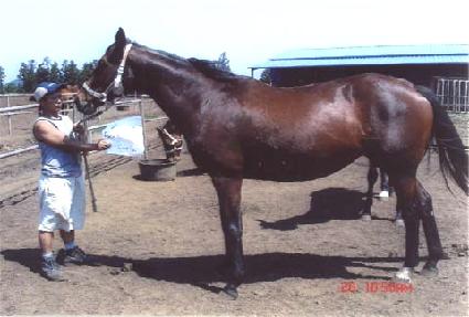 �ø�ƮĮ�� ����