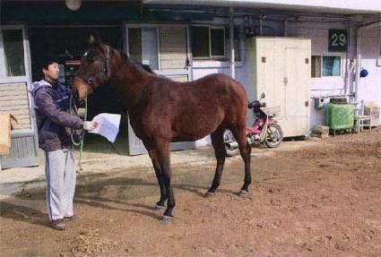 �и����̺� ����