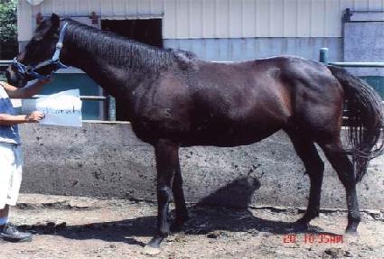 ��Ÿ�� ����