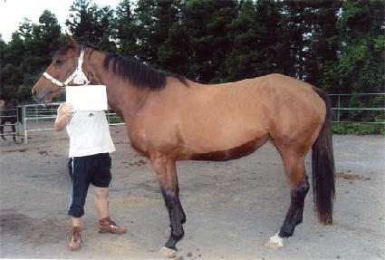 �ö��׳��� ����