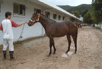 ������ġ�㺸�� (ZEPHYRICHIBAMBOSHI) ����