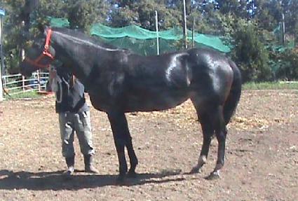 ���̺񼱵��� ����