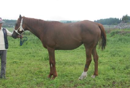 �񵵹� ����