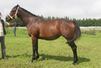 ���̴ٵ��Ʈ���� ����